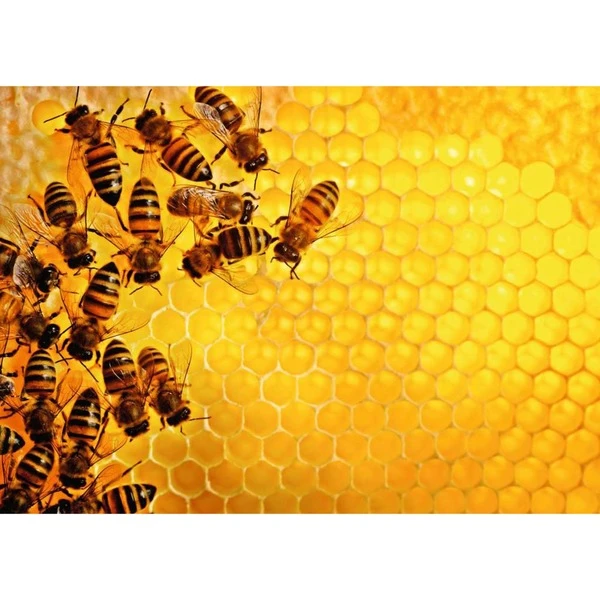 Ravensburger Puzzle Bienen 4 Ravensburger Puzzle Bienen – Bild 2