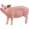 Schleich Farm World Schwein, Spielfigur -Kinderspielwaren Geschäft Schleich Farm World Schwein Spielfigur@@1779204